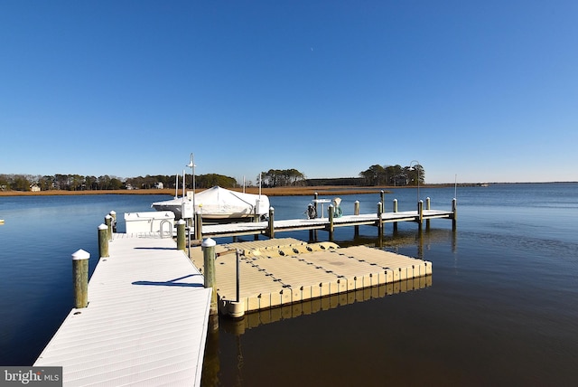 dock area featuring a water view