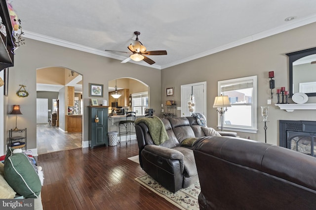 living room with plenty of natural light, ceiling fan, dark hardwood / wood-style flooring, and ornamental molding