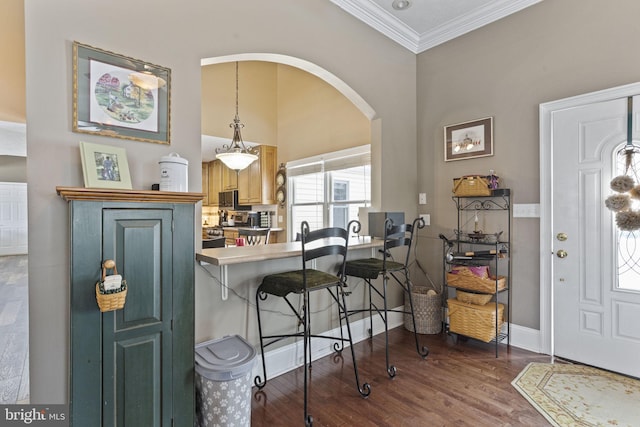 foyer entrance featuring dark hardwood / wood-style flooring and ornamental molding