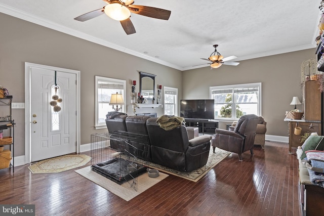 living room with a textured ceiling, ceiling fan, dark hardwood / wood-style floors, and crown molding