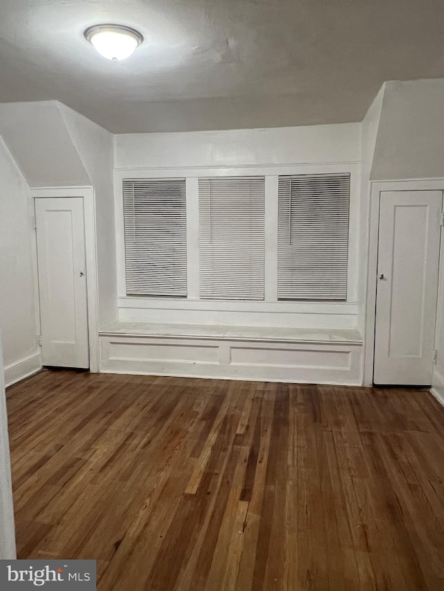 additional living space featuring dark wood-type flooring