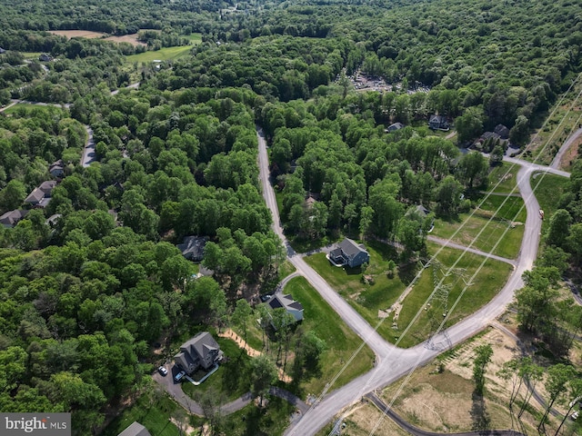 bird's eye view