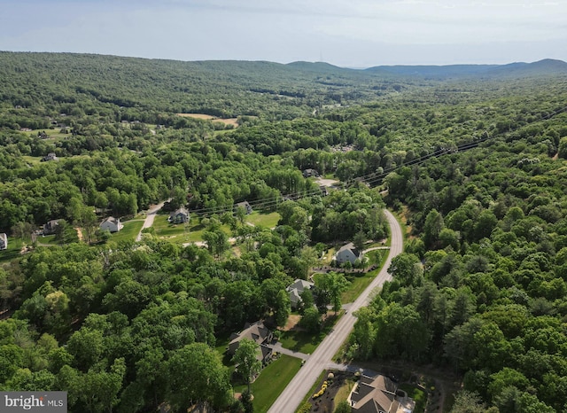 aerial view with a mountain view