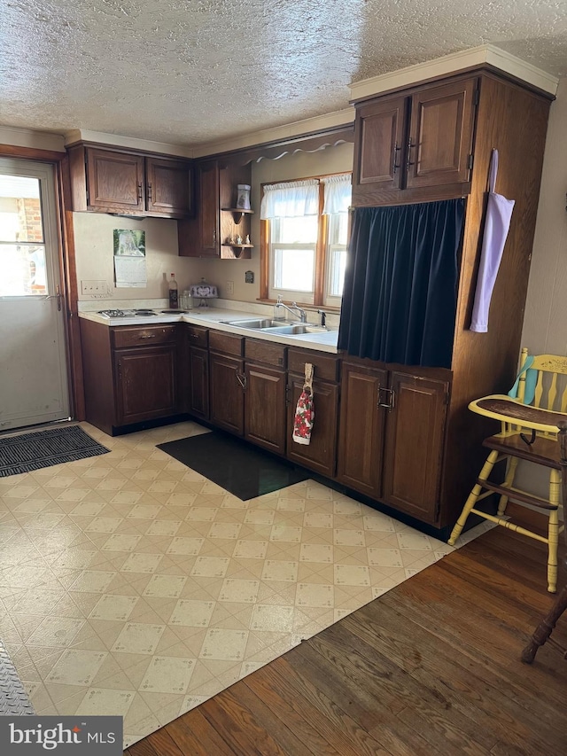 kitchen featuring dark brown cabinetry, light wood-type flooring, and sink