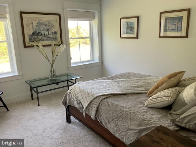 carpeted bedroom with multiple windows