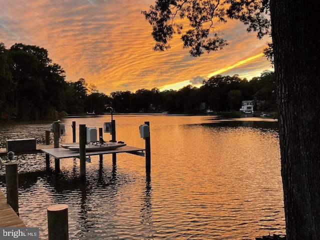 dock area with a water view