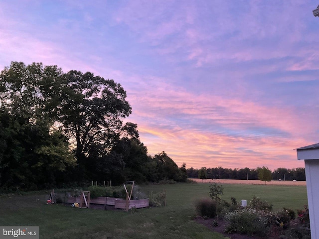 view of yard at dusk