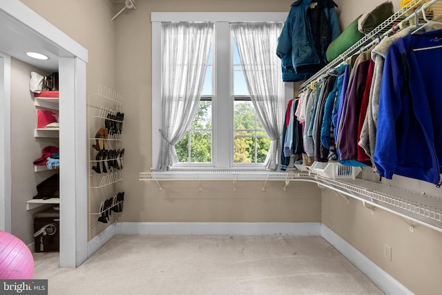 spacious closet featuring light colored carpet