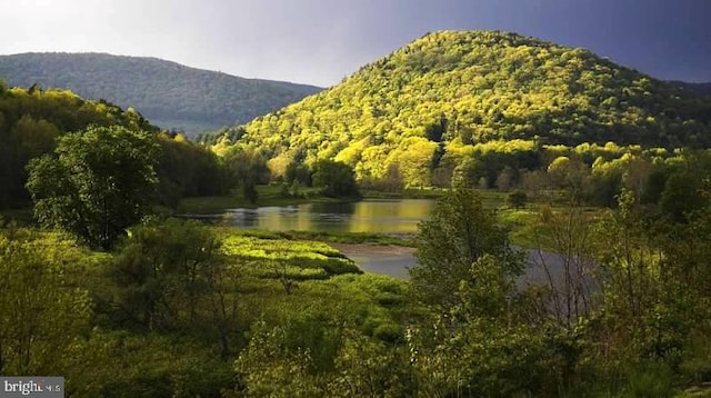 property view of mountains with a water view