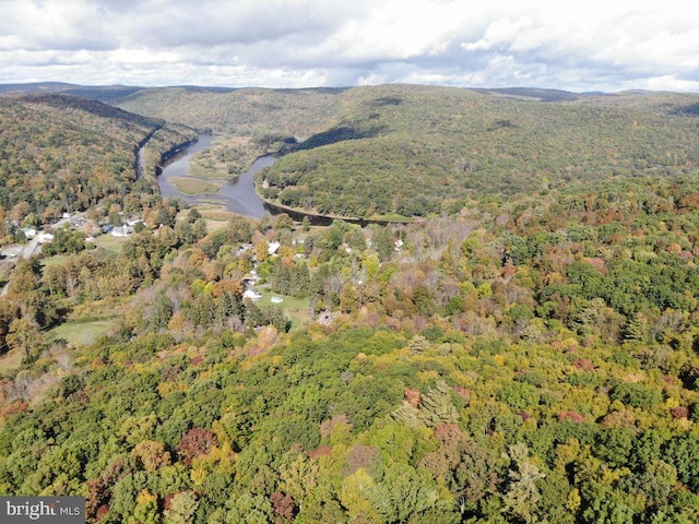 view of bird's eye view