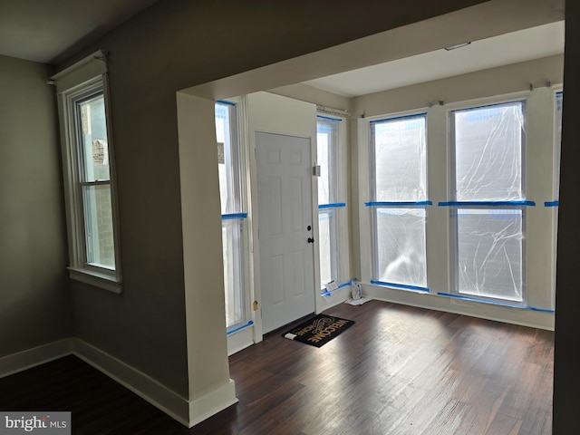 foyer entrance featuring dark wood-type flooring