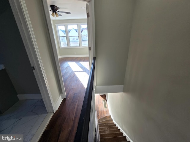 corridor with dark hardwood / wood-style flooring