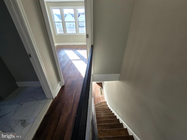 corridor featuring dark wood-type flooring