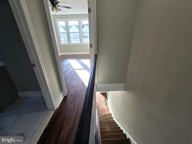 hallway featuring dark wood-type flooring