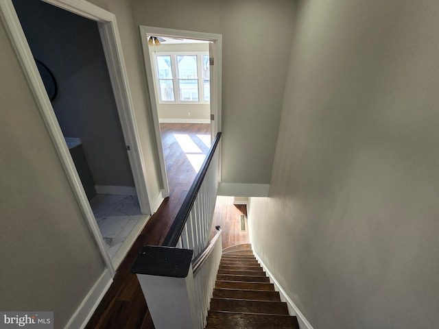 staircase featuring dark hardwood / wood-style floors