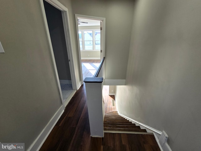 corridor featuring dark hardwood / wood-style floors