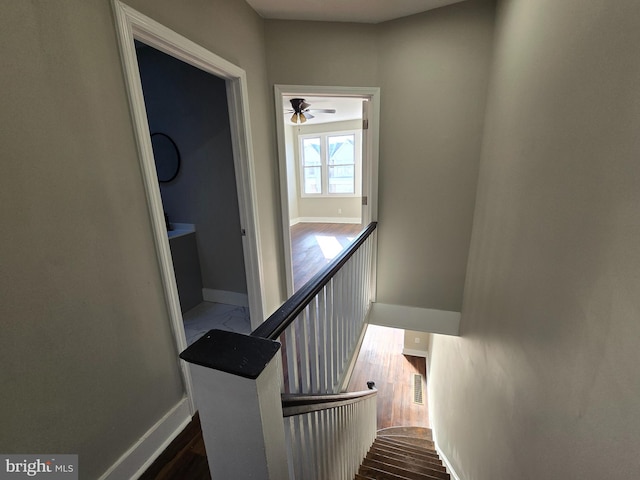 stairs with dark hardwood / wood-style floors and ceiling fan