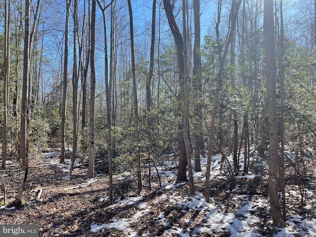 Listing photo 2 for LOT8 Sparta Rd, Milford VA 22514