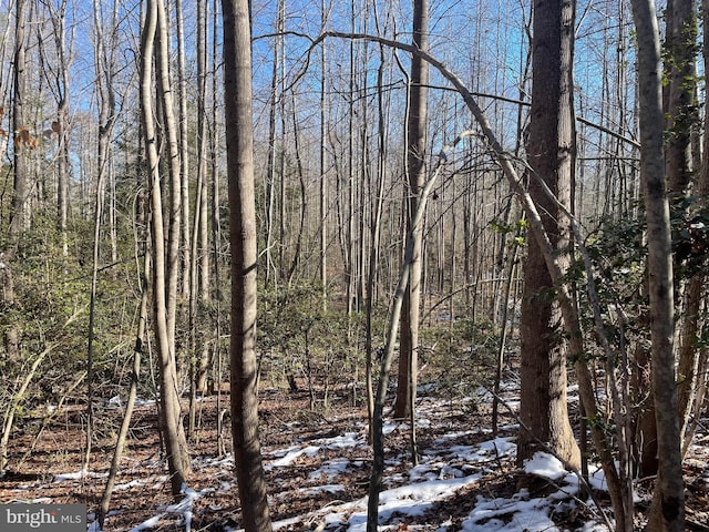 Listing photo 3 for LOT8 Sparta Rd, Milford VA 22514