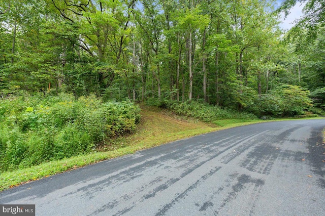 Listing photo 2 for 233 Stone Chimneys Rd, Nellysford VA 22958