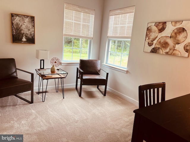 living area featuring light carpet and plenty of natural light