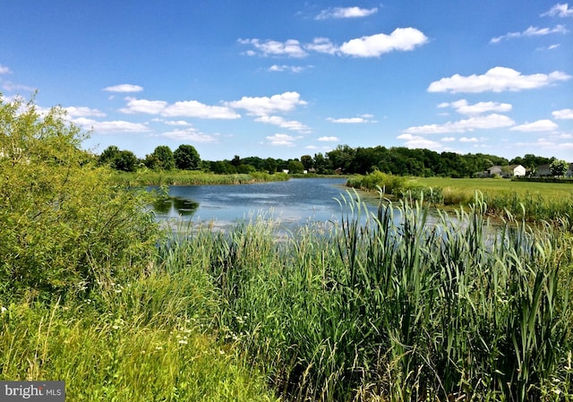 view of water view