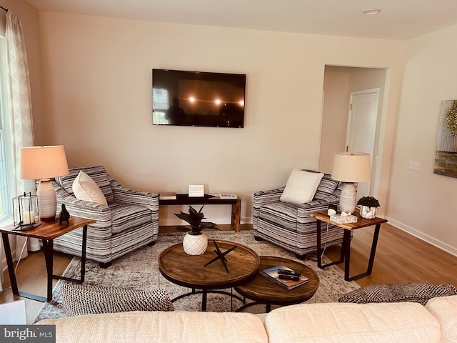 living room with light hardwood / wood-style flooring