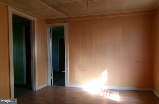 empty room with light wood-type flooring