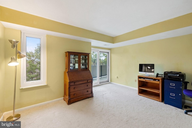 office area featuring light colored carpet