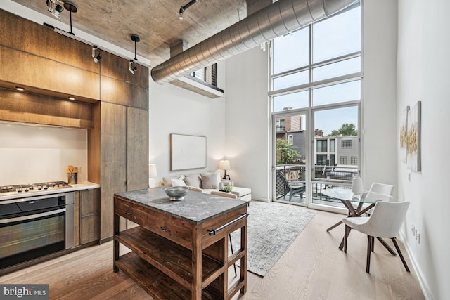 kitchen with light hardwood / wood-style flooring, stainless steel appliances, and a towering ceiling