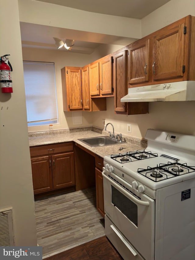 kitchen featuring light hardwood / wood-style flooring, double oven range, and sink