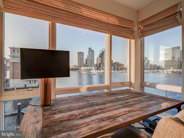 dock area with a water view