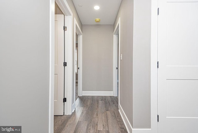 corridor with dark wood-type flooring