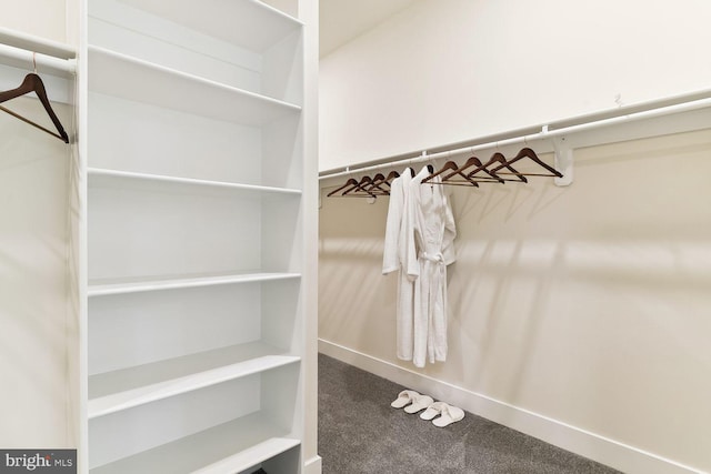 walk in closet with carpet floors