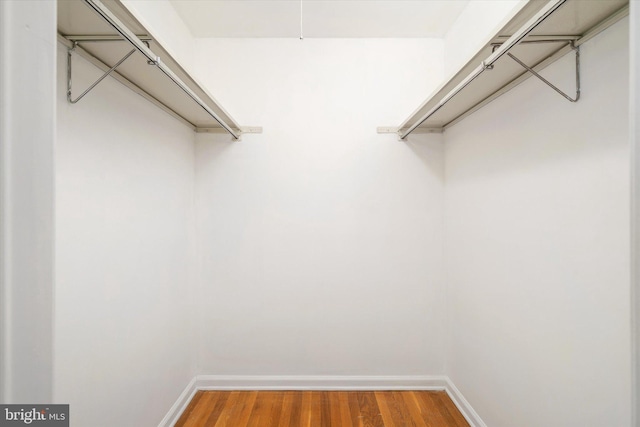 spacious closet featuring hardwood / wood-style floors