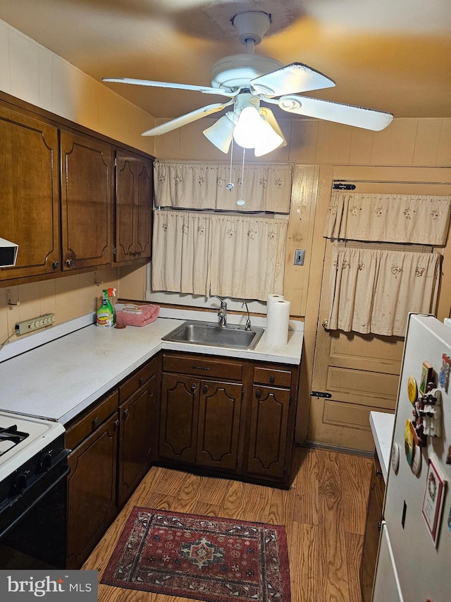 kitchen featuring dark brown cabinetry, ceiling fan, sink, and light wood-type flooring