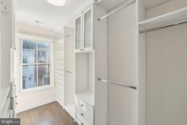 walk in closet featuring wood-type flooring