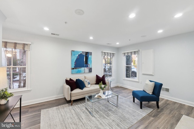 living room with dark hardwood / wood-style flooring and a wealth of natural light