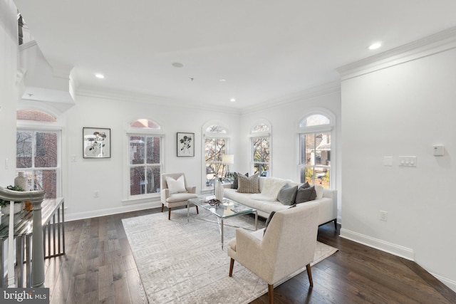 living room featuring crown molding and dark hardwood / wood-style floors