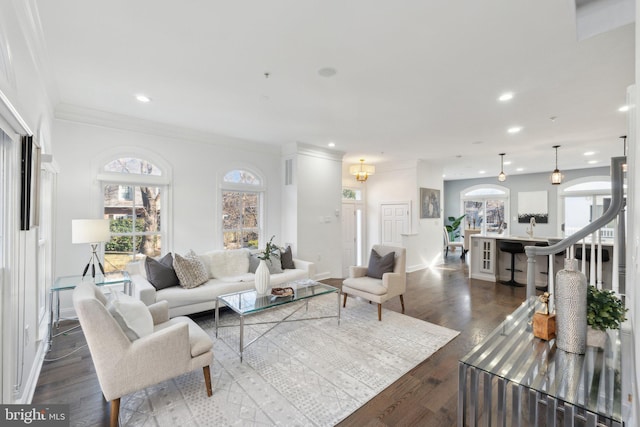 living room featuring crown molding and hardwood / wood-style flooring