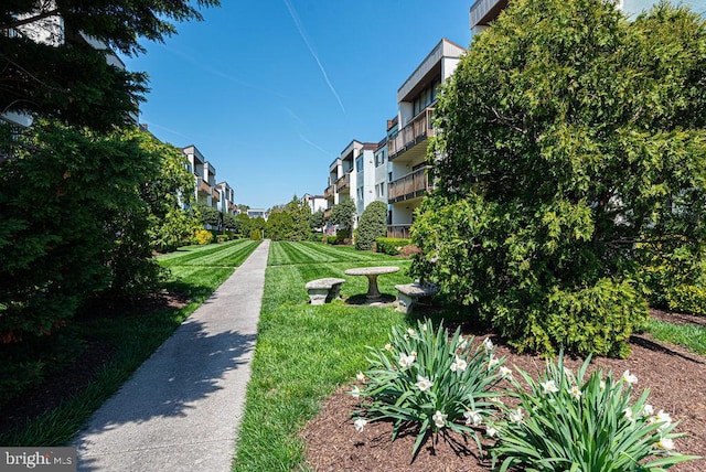 view of property's community with a lawn