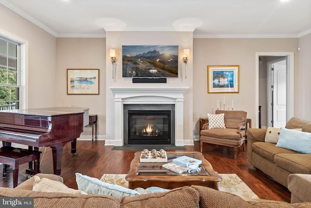 living room featuring crown molding and dark wood-type flooring