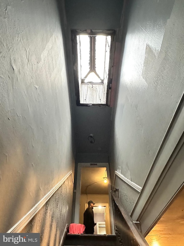 stairway with hardwood / wood-style floors