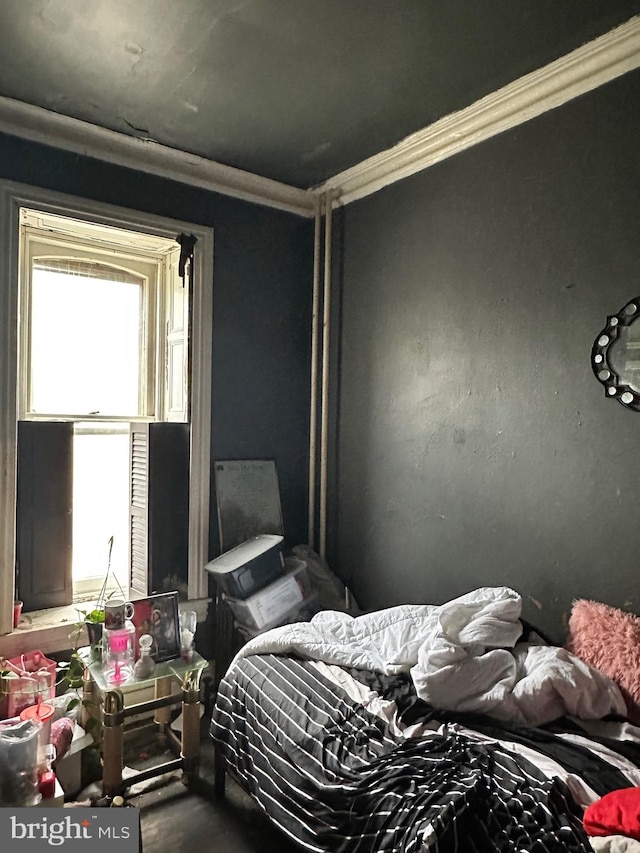 bedroom with ornamental molding and multiple windows