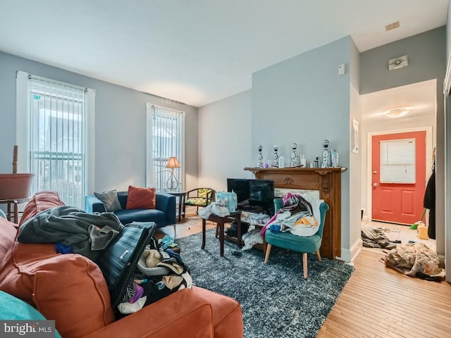 living room with wood-type flooring