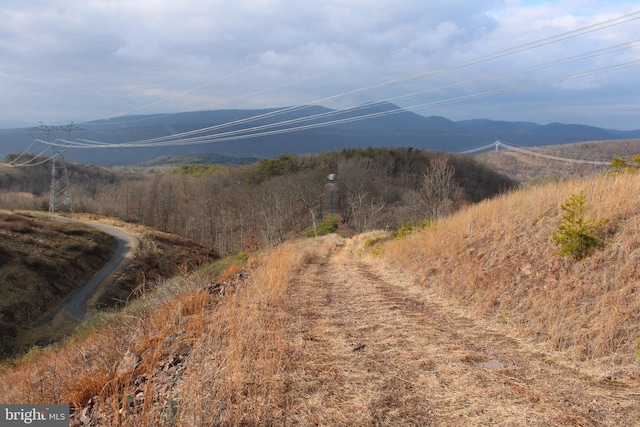 20.22AC Ridge View Rd, Moorefield WV, 26836 land for sale