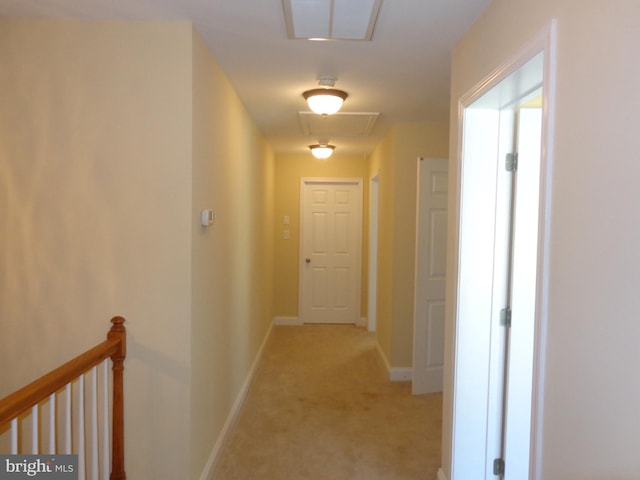 corridor featuring light colored carpet