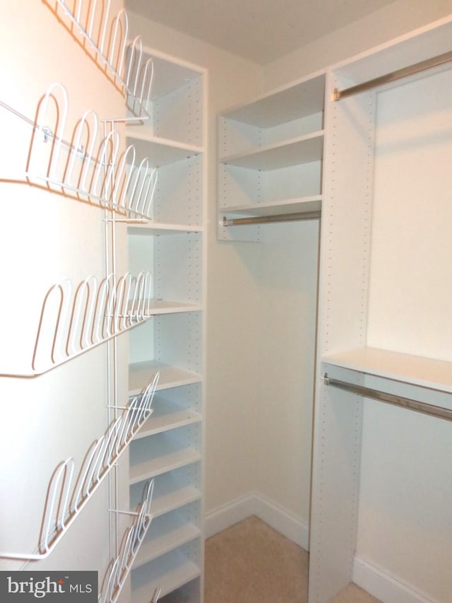 spacious closet featuring light colored carpet