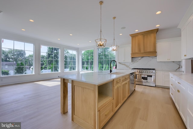 5824 Wild Lilac Dr, Lot East Petersburg, PA 17520 - kitchen featuring backsplash, a sink, light wood-style floors, appliances with stainless steel finishes, and custom exhaust hood