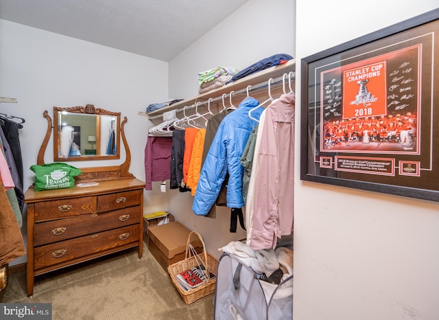 spacious closet with lofted ceiling and light carpet